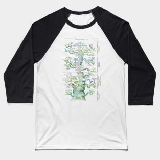 Haeckel's Evolution of Man Baseball T-Shirt